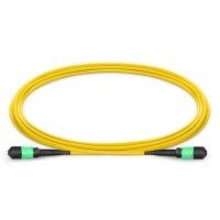 1m (3ft) MPO Female to MPO Female 12 Fibers OS2 9/125 Single Mode Trunk Cable