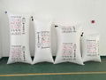 cargo air dunnage bag for container 1