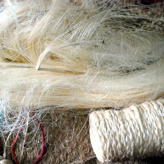 sisal fibers
