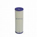 PET series Polyester Pleated Filter