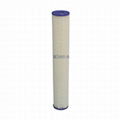 PET series Polyester Pleated Filter Cartridges 2