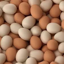 fresh chicken eggs