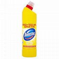 Domestos 750ml citrus 1