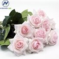 China factory wholesale real touch artificial rose flower 4