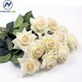 China factory wholesale real touch artificial rose flower 5