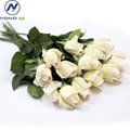 beatuiful real touch artificial rose flower bud