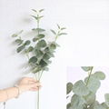 New Arrival Home Decor Silk Artificial Eucalyptus Leaves 1