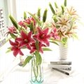 Wholesale Real Touch Artificial Lily Flower for Home Wedding Decor