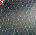 Garden anti bird netting green plastic netting for your fruit 2