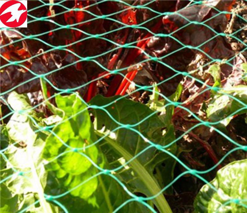 Garden anti bird netting green plastic netting for your fruit 5