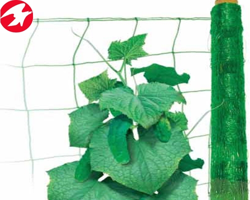 China factory direct supply HDPE plant support net for agricultural 4