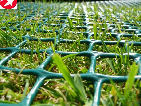 High quality HDPE grass protection netting to protect your garden 3