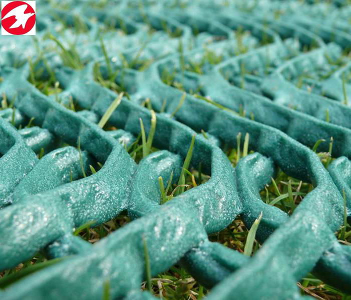 High quality HDPE grass protection netting to protect your garden 4