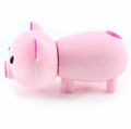 Pink Piggy Shape USB 2.0 Flash Drive Cute Memory Stick 4