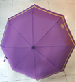 umbrella  2