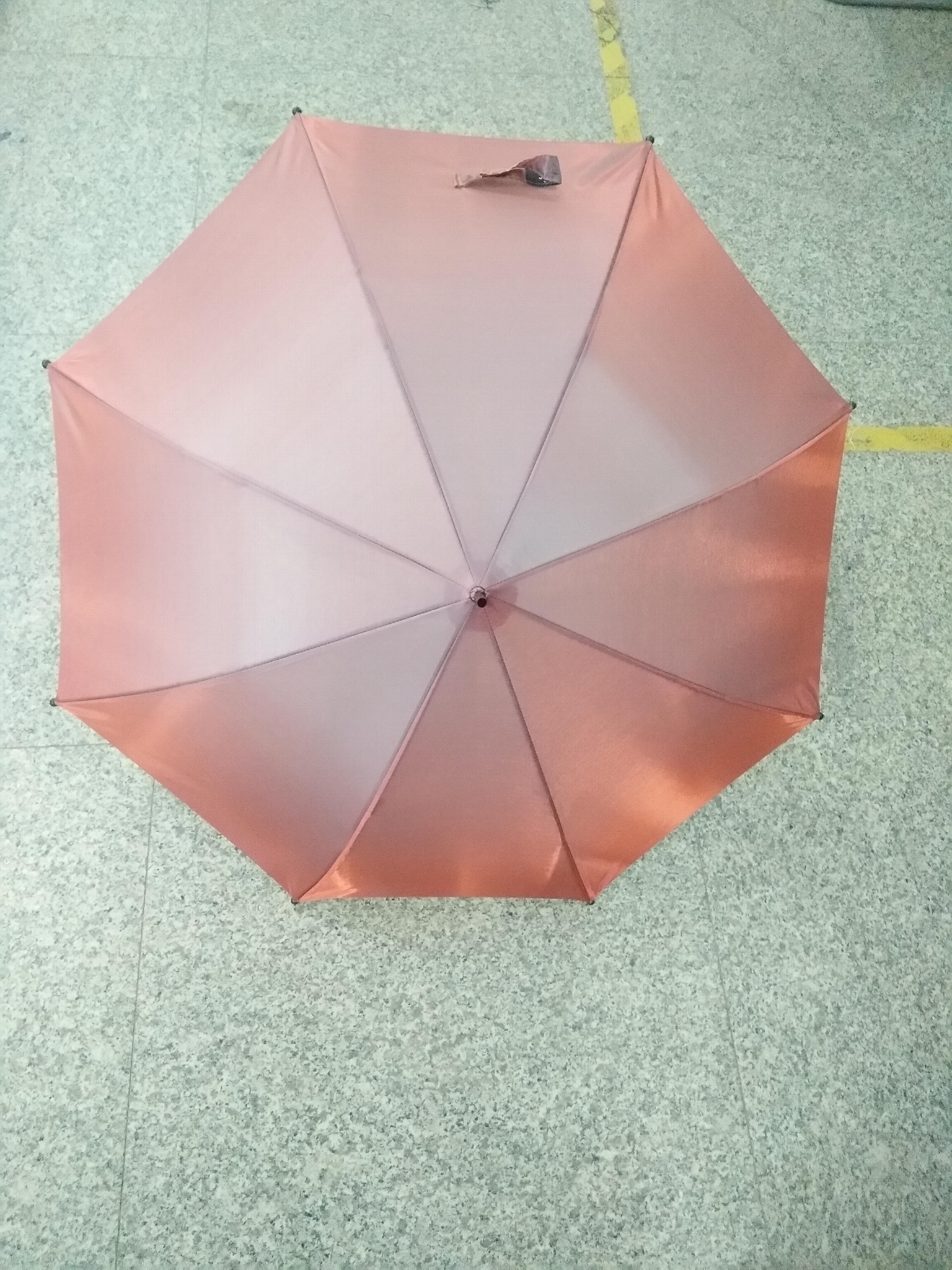 umbrella  3