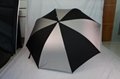 umbrella  5