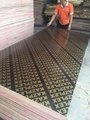 finger joint plywood for construction building formwork