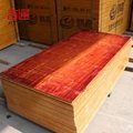 15mm plywood waterproof Veneer Boards Plywood Type 2