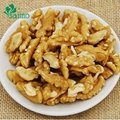 raw walnut kernel