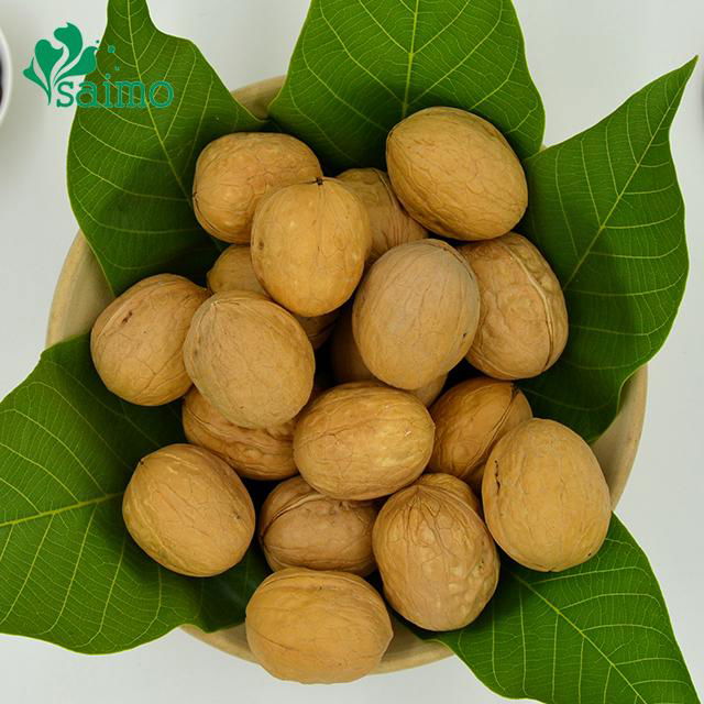 Chinese Hebei Origin Thin Shelled Whole Walnuts Inshell 3