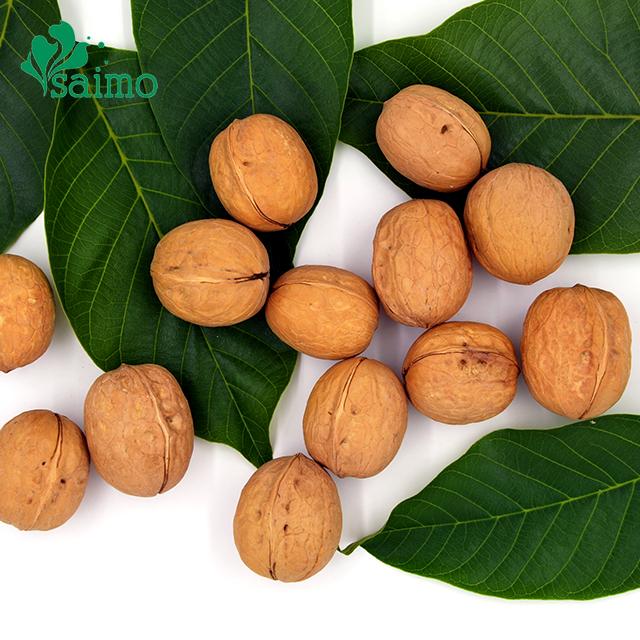 Chinese Hebei Origin Thin Shelled Whole Walnuts Inshell 5