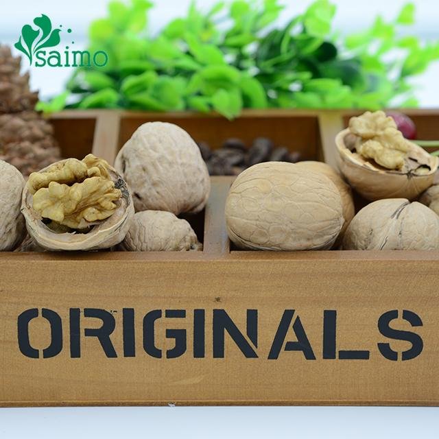 100% Healthy And Best California New Fresh Common walnuts Wholesale 2