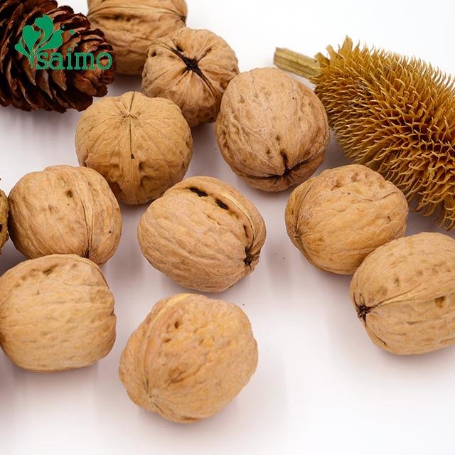 100% Healthy And Best California New Fresh Common walnuts Wholesale 3
