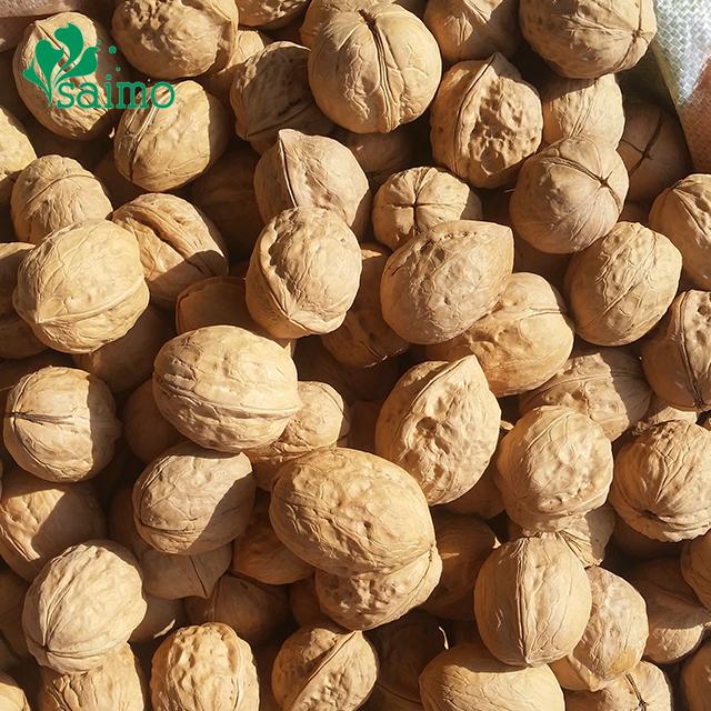 Xinjiang Origin 185 Thin Shell Walnut Bulk For Sale