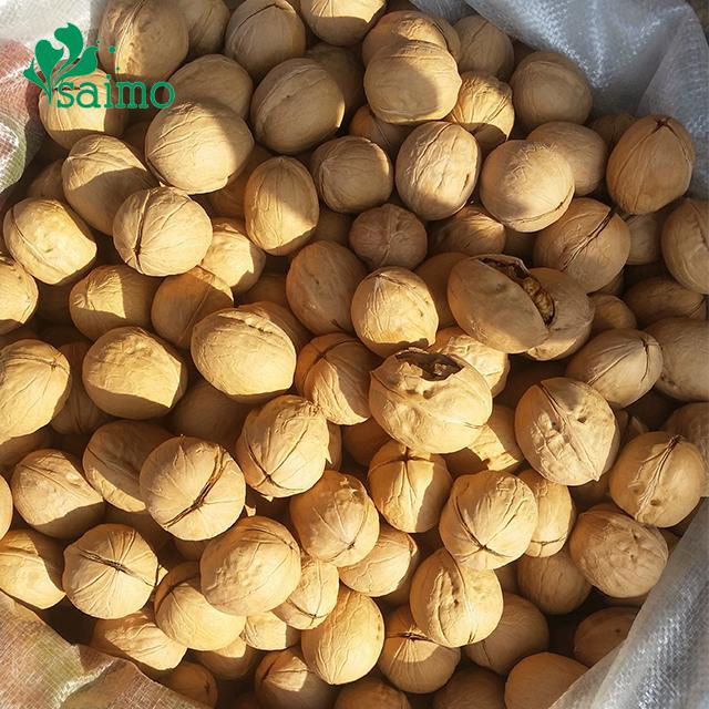 Cheap Thin Shell Walnut 500g 3