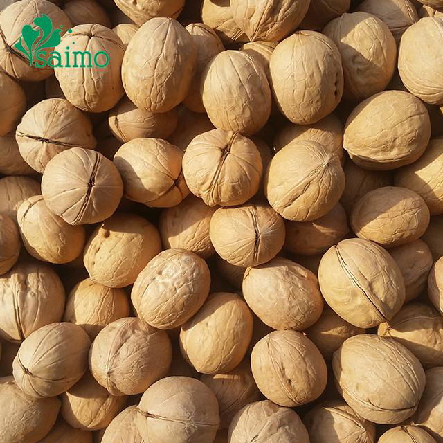 Cheap Thin Shell Walnut 500g 4