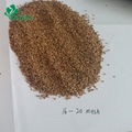 black walnut shells powder