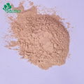 Natural Filter Material Walnut Shell