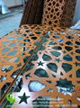 Aluminum laser cut sheet for facade cladding 4