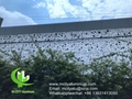 4mm Aluminum facade perforated panel factory price 3