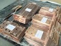 Hight quality copper busbar processing with machine and mould  import from Korea 4