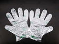 100% biodegradable & compostable gloves