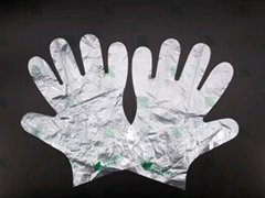100% biodegradable & compostable gloves