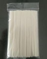100% biodegradable & compostable drinks straw 1