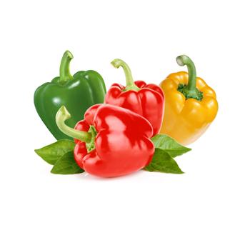 High quality green&red&yellow pepper