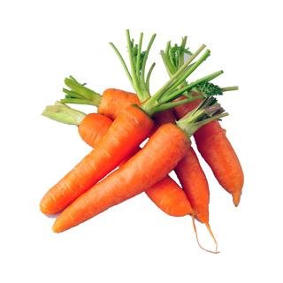 Fresh carrot supply all year round