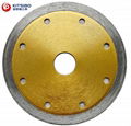 Continuous Rim Saw Blade 1