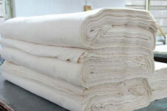 Organic Cotton Fabric