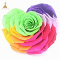 10cm Big Heart-Shape Preserved Rainbow Rose Flower  1