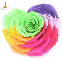 10cm Big Heart-Shape Preserved Rainbow Rose Flower 