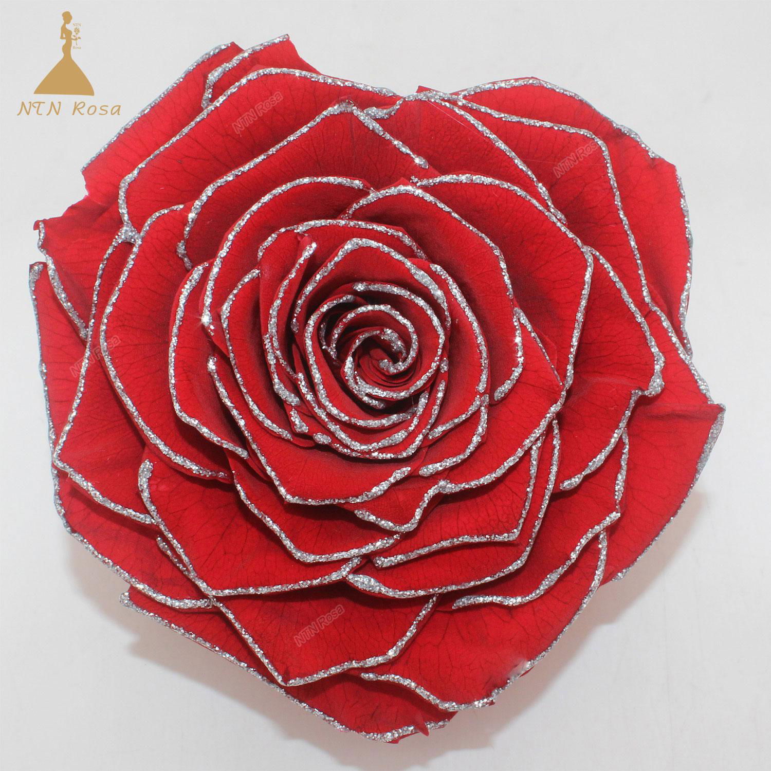 10cm Big Heart-Shape Preserved Rainbow Rose Flower  4