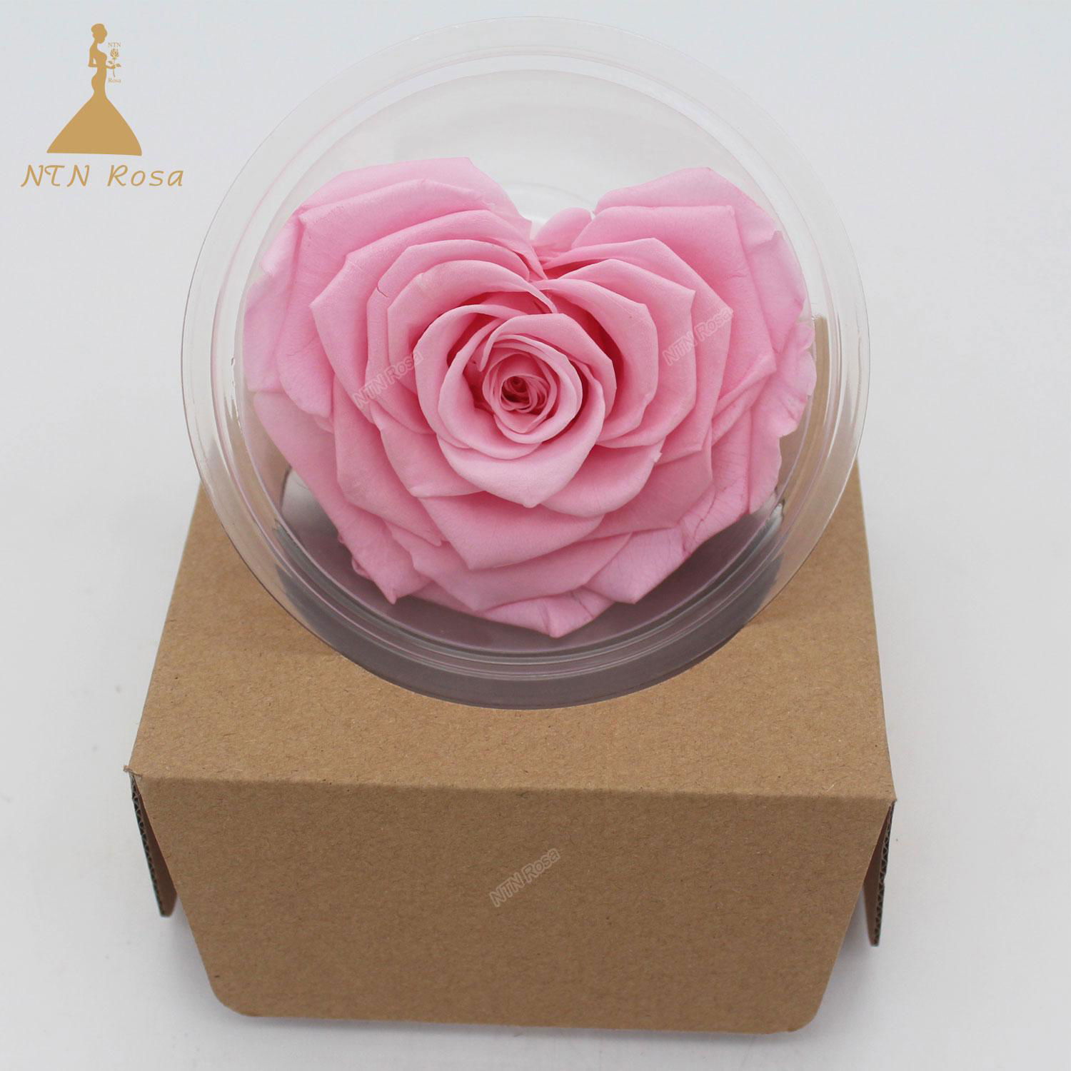 10cm Big Heart-Shape Preserved Rainbow Rose Flower  5