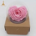 10cm Big Heart-Shape Preserved Rainbow Rose Flower  5