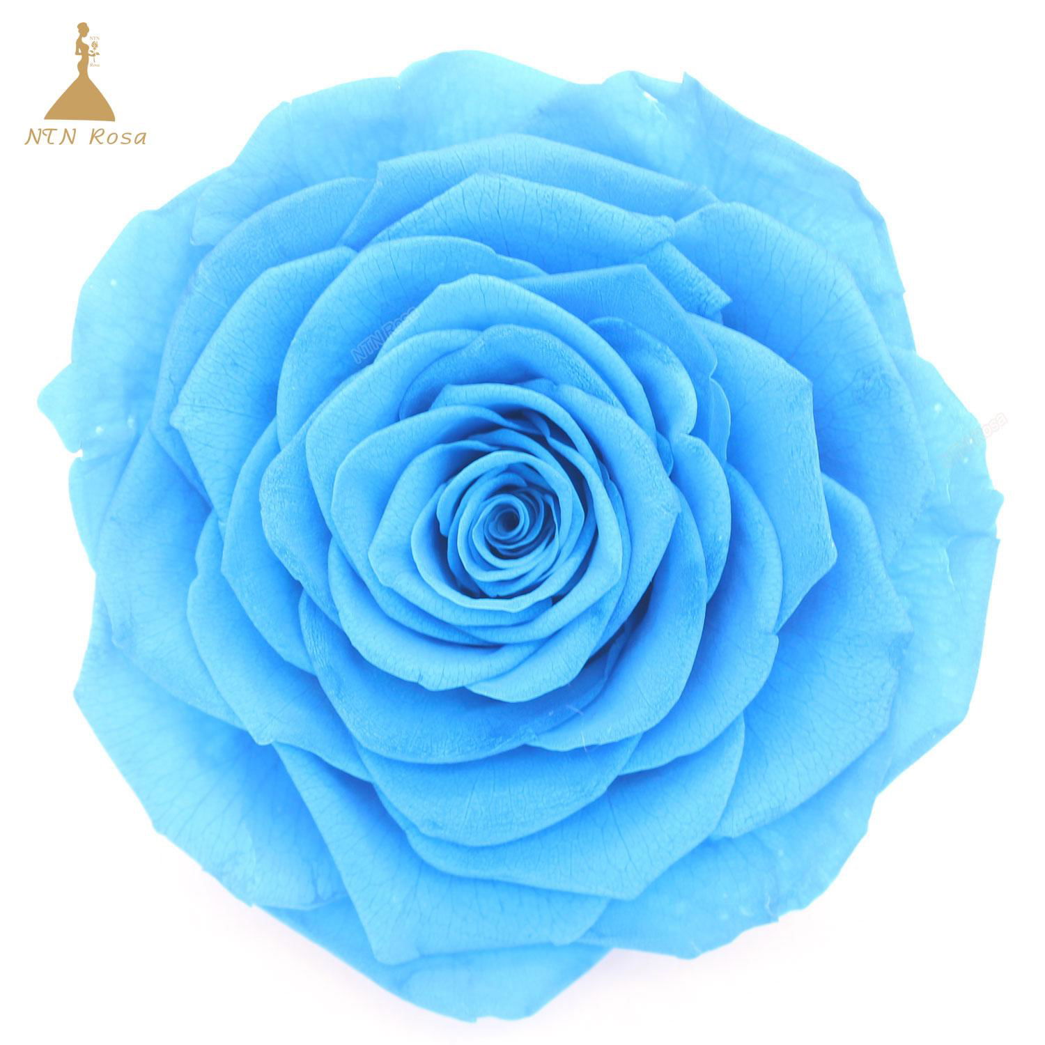 9-10cm Big Size Preserved Flower Rose for Decor Supplies 2