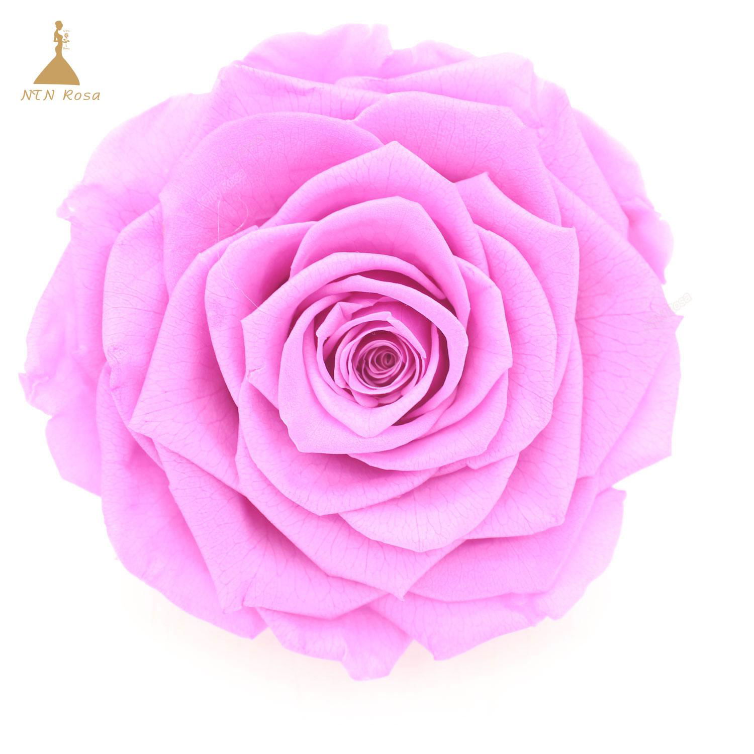 9-10cm Big Size Preserved Flower Rose for Decor Supplies 3